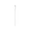 cable iphone original lightning cable iphone original en punta arenas