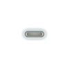 adaptador-apple-pencil-ipad (3) adaptador apple pencil oroginal