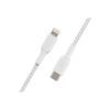 iphone 18 en punta arenas